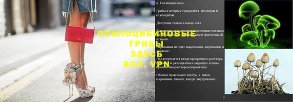 гидра Козловка