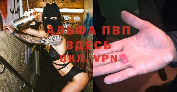 гидра Козловка