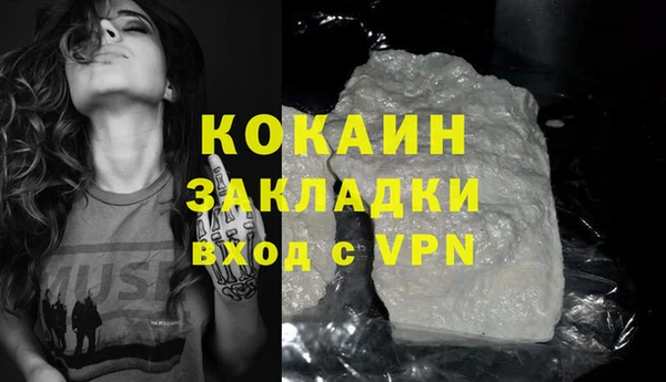 гидра Козловка