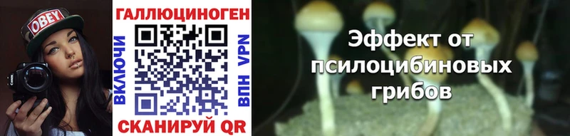 Галлюциногенные грибы прущие грибы  Купить  Аркадак 